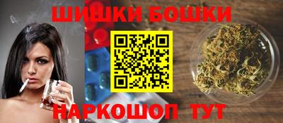 твердый Бердск