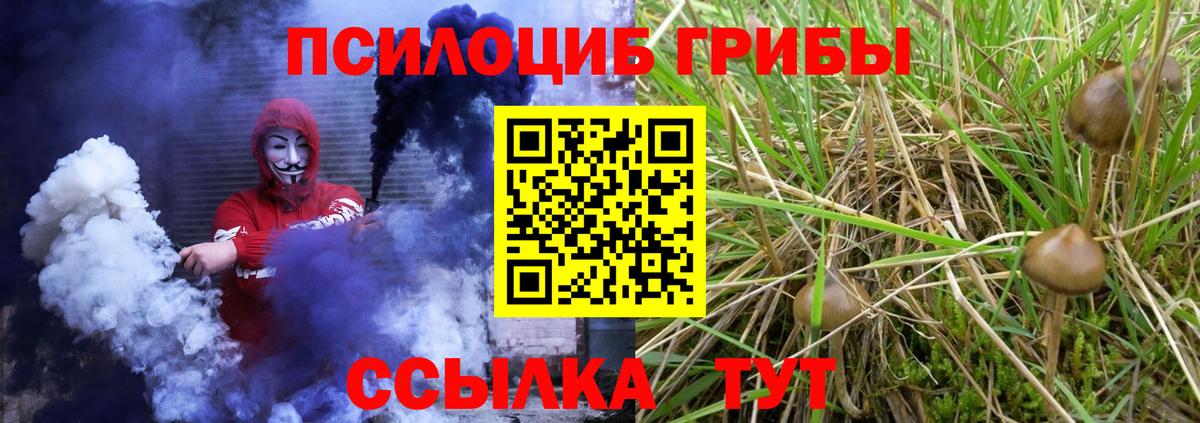 Галлюциногенные грибы Cubensis Мелеуз