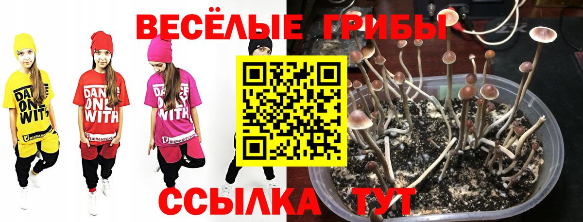 Псилоцибиновые грибы ЛСД  Галлюциногенные грибы Magic Shrooms  Мелеуз  Вход с VPN 